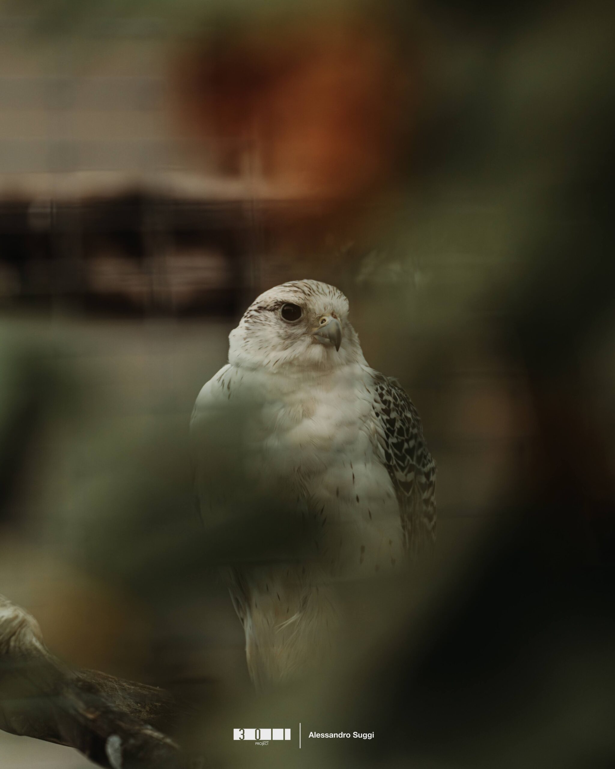 A7400894-Enhanced-NR-3