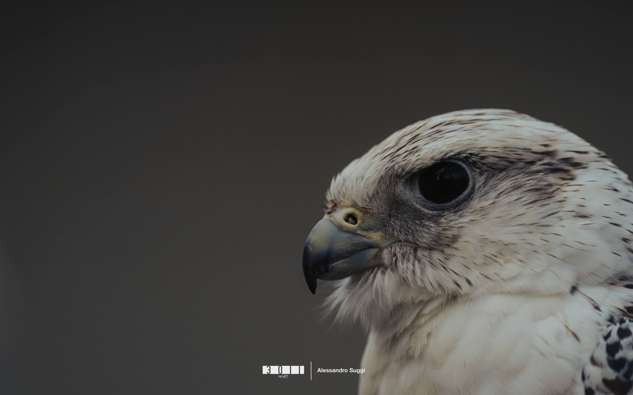 A7400903-Enhanced-NR-6